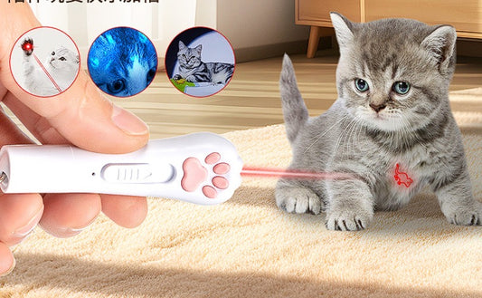 Laser pointer