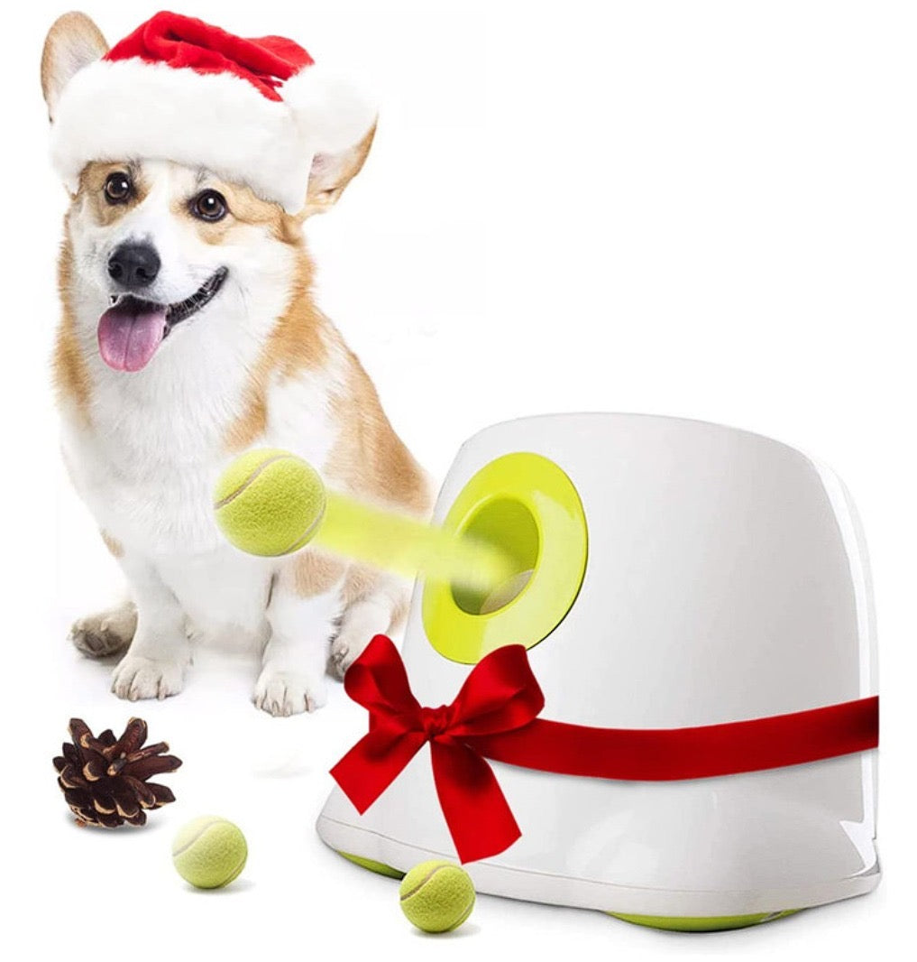 ball throwing machine for dogs