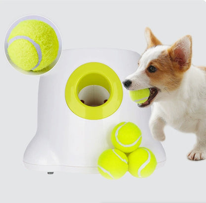 ball throwing machine for dogs